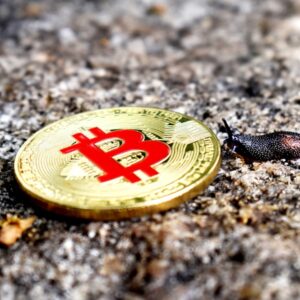 Why Bitcoin Perpetual Is Gaining Popularity Among Traders